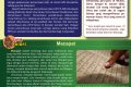 02_Feb page 2
