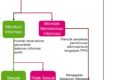 Permintaan_Informasi_2023